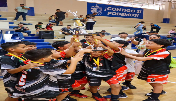Boletin